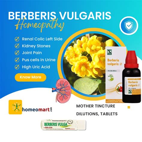 burberry medicine for stone|berberis vulgaris for kidney pain.